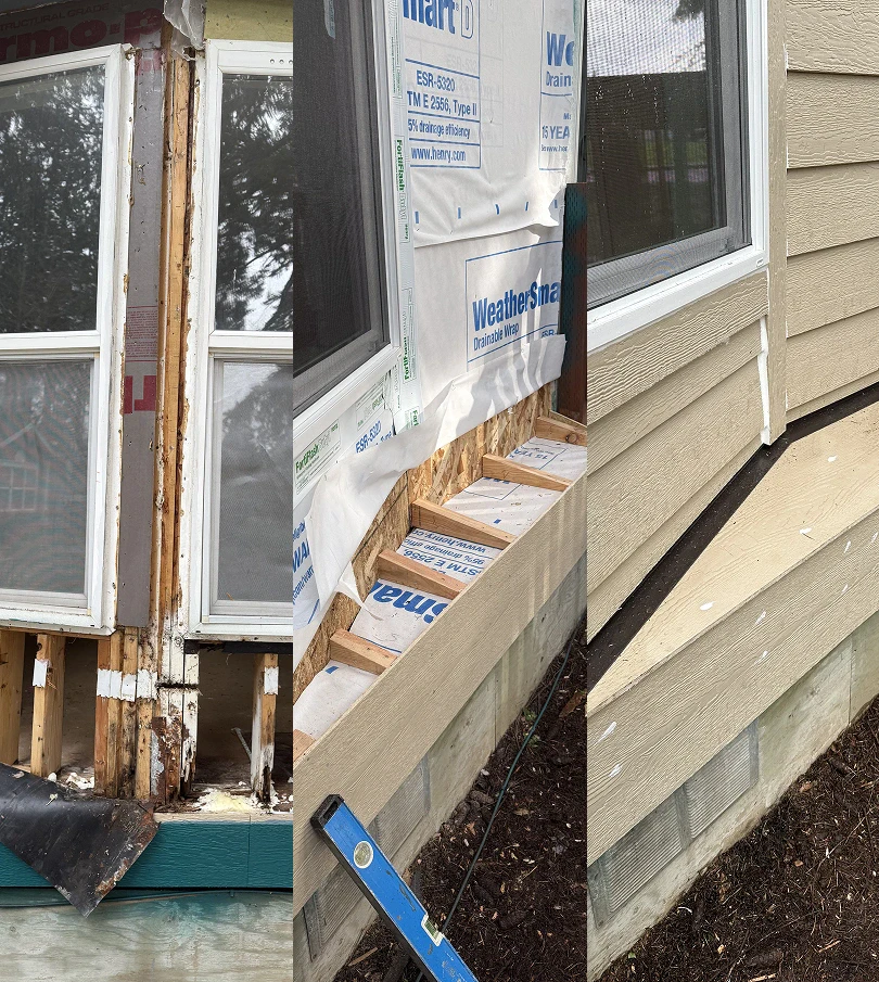 dry rot repair
