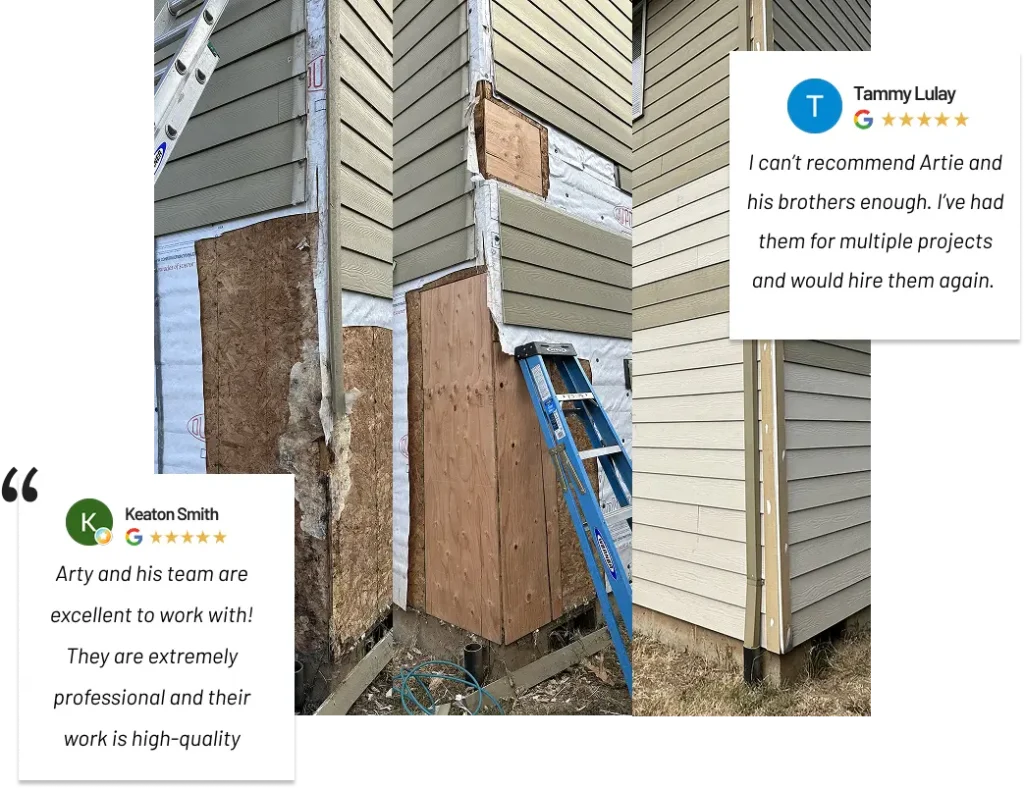 Dry Rot Repair Section Image
