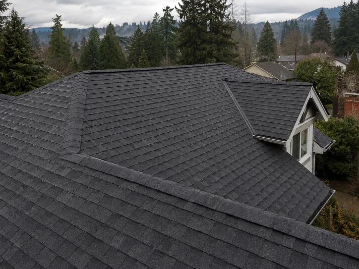 asphalt shingles