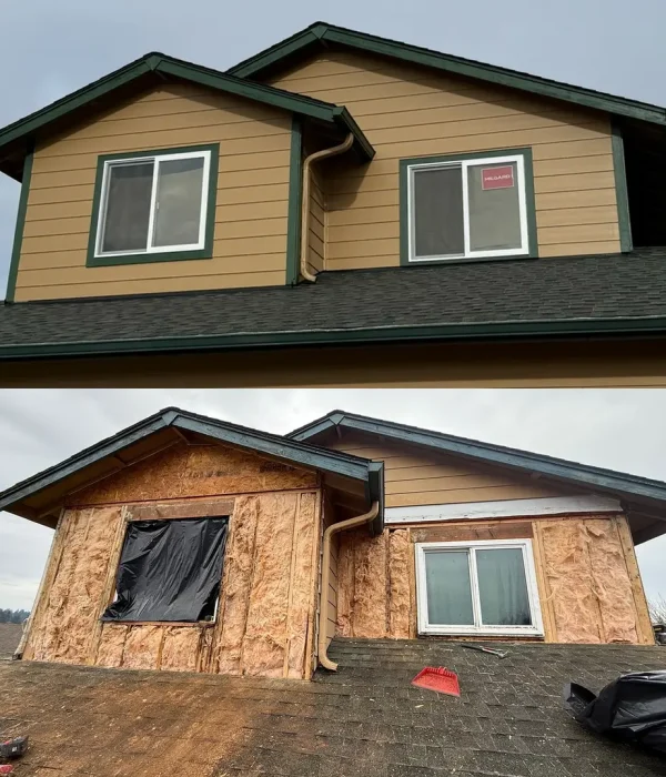 Siding and windows