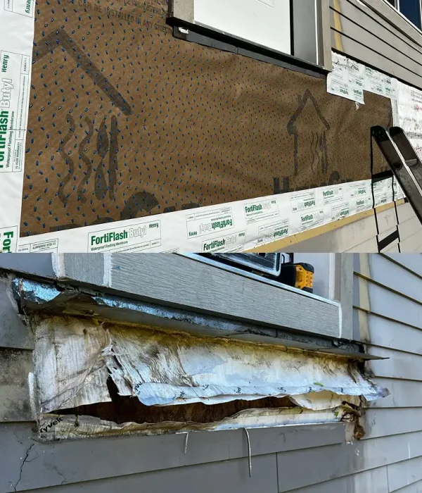 dry rot repair